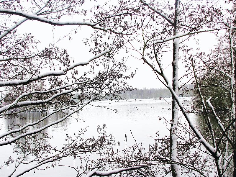 Wandeling De Paalse Plas 24-2-2013 (27).JPG